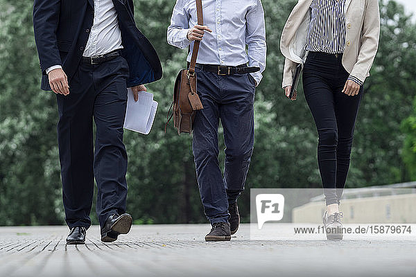 Architects talking with each other in public park