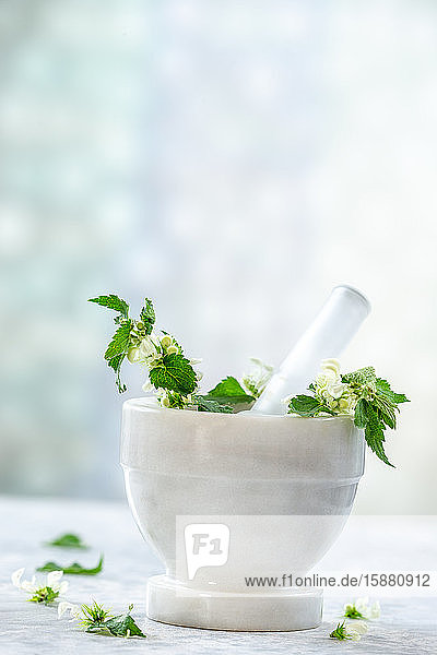 Phytotherapeutic preparation of nettle leaves in a mortar.
