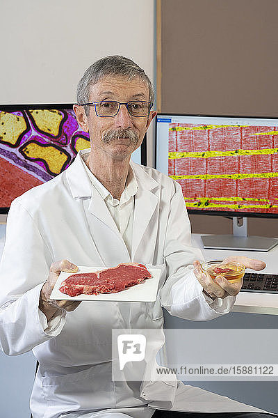 Herstellung von Rindfleisch aus Stammzellen. Forscher vor Computerbildschirmen mit medizinischen Bildern von Muskeln unter einem Transmissionselektronenmikroskop.