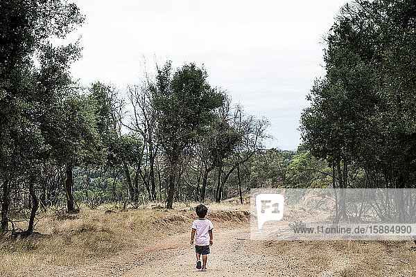 Rear view of young boy walking along dirt track through a forest.