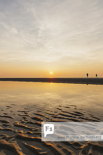 Entfernte Ansicht von Silhouetten von Menschen  die bei Sonnenuntergang am Strand gegen den Himmel laufen  Nordseeküste  Flandern  Belgien
