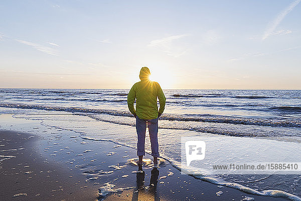 Rückansicht eines älteren Mannes in voller Länge  der bei Sonnenuntergang am Strand steht  Nordseeküste  Flandern  Belgien