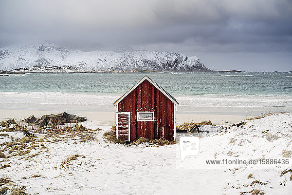Rote Hütte am Strand im Schnee  Lofoten  Norwegen