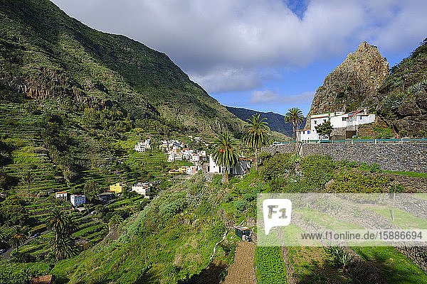 Spain  Province of Santa Cruz de Tenerife  Hermigua  Rural village located in green valley of La Gomera island