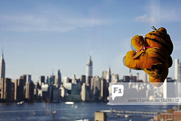 USA  New York  New York City  Klebrige ausgestopfte Katze am Fenster mit Blick auf Manhattan