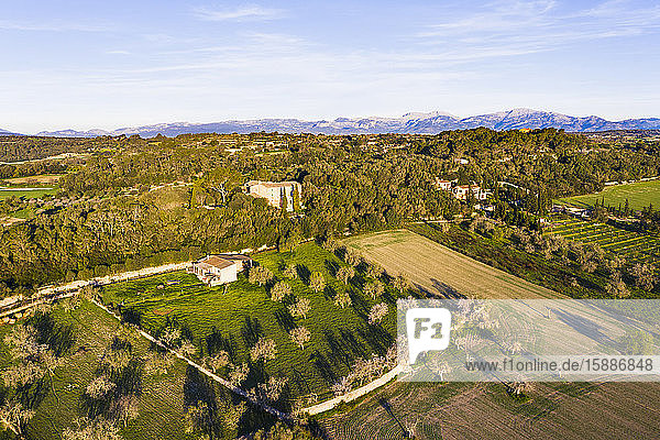 Spanien  Balearen  Mallorca  Montuiri  Luftaufnahme einer grünen Landschaft