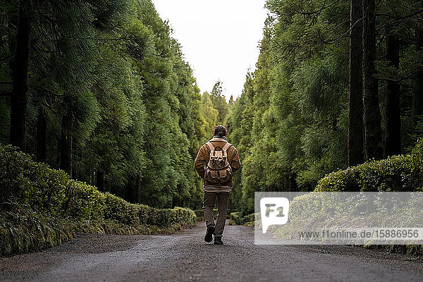Rückansicht eines Mannes auf einem Waldweg  Sao-Miguel-Insel  Azoren  Portugal