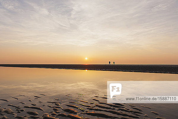 Entfernte Ansicht der Silhouetten von Menschen am Strand gegen den Himmel bei Sonnenuntergang  Nordseeküste  Flandern  Belgien