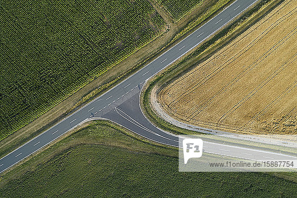 Deutschland  Bayern  Drohnenansicht einer Landstraße  die im Sommer durch grüne und gelbe Felder führt