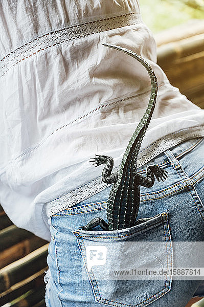 Malaysia Toy crocodile sticking out of pocket of jeans shorts