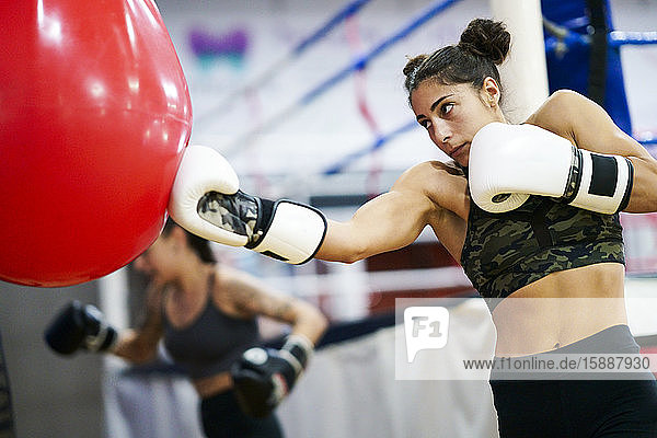 Boxerinnen trainieren am Boxsack im Fitnessstudio