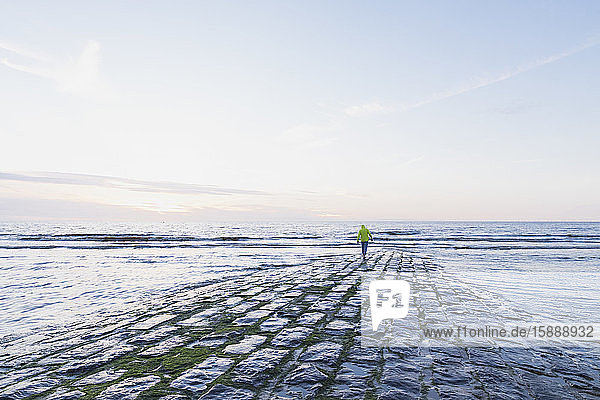 Rückansicht eines älteren Mannes im Ruhestand mit Rucksack in voller Länge  der bei Sonnenuntergang am Strand am Ufer entlang läuft  Nordseeküste  Flandern  Belgien