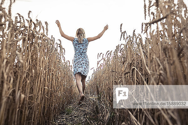 Rückenansicht einer aufgeregten Frau  die barfuss in einem Weizenfeld geht