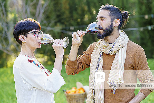 Freunde trinken Rotwein auf ihrem Ausflug auf dem Land
