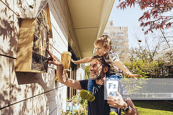 Vater und Sohn inspizieren ihr Insektenhotel mit Bienen