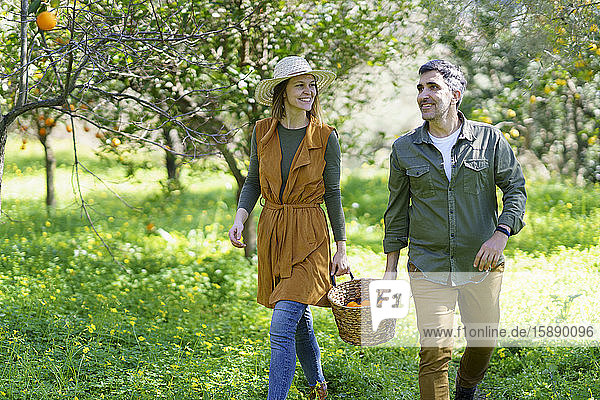 Paar  das mit einem Korb voller Orangen auf dem Feld spazieren geht
