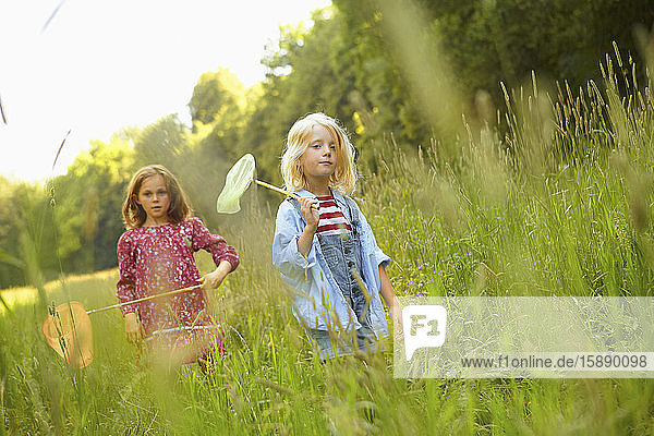 Girls walking in tall grass with butterfly nets