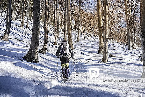 Rückenansicht eines Mannes beim Wandern im verschneiten Wald  Orobie-Alpen  Lecco  Italien