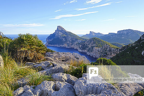 Spanien  Mallorca  Pollenca  Panoramablick auf die Halbinsel Cap de Formentor vom Mirador Es Colomer aus gesehenDirectionsSave