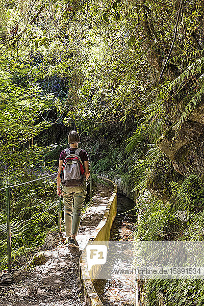 Portugal  Madeira  Ribeiro Frio  Rucksacktouristin beim Wandern entlang der Levada do Furado im Naturpark Madeira