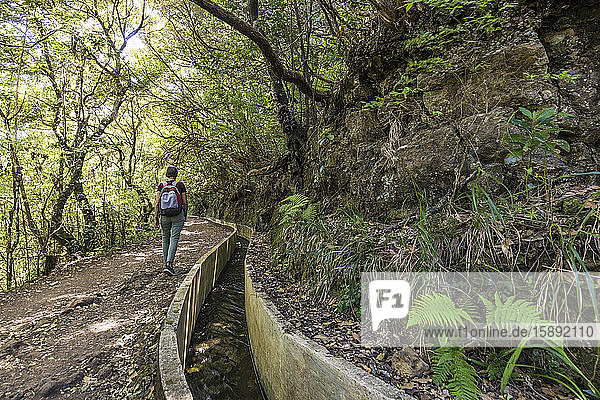 Portugal  Madeira  Ribeiro Frio  Rucksacktouristin beim Wandern entlang der Levada do Furado im Naturpark Madeira