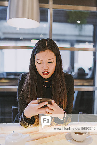 Elegant young woman using smartphone in a cafe