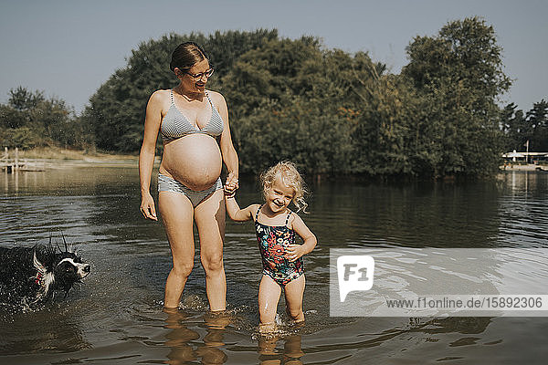 Netherlands  Schiermonnikoog  pregnant mother with daughter and Border Collie in a lake