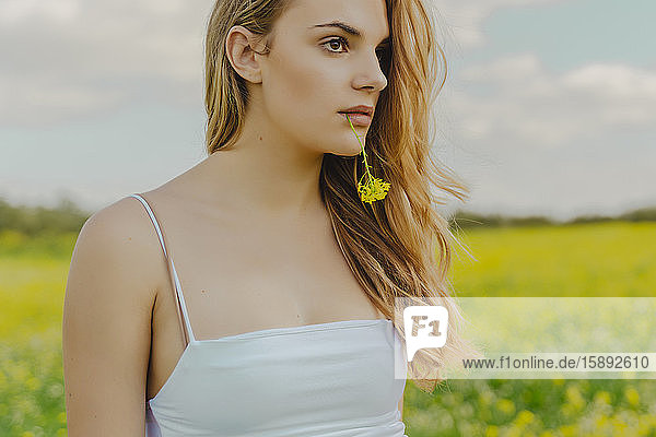 Porträt einer jungen Frau auf einer Blumenwiese im Frühling mit Blüte im Mund