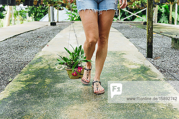 Malaysia  Unterer Teil einer erwachsenen Frau in Shorts und Flip-Flops mit Topfpflanze