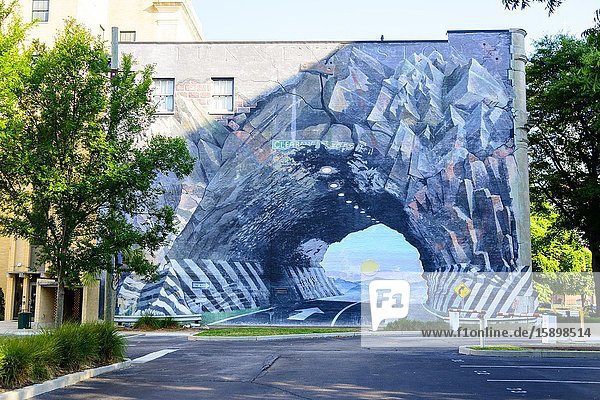 Tunnel Vision Mural Columbia South Carolina home of the Statehouse Capital building with a rich history.