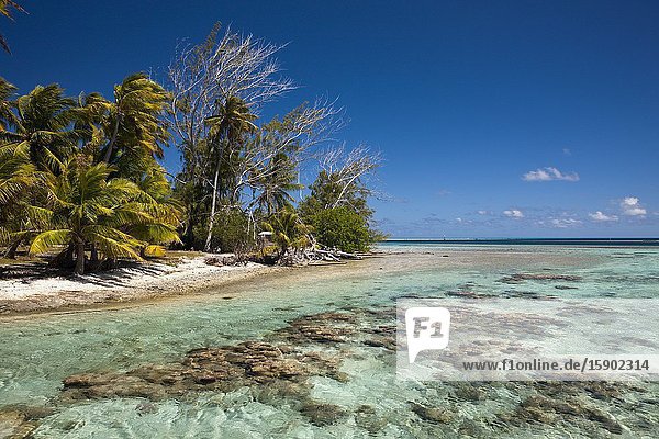 Lagoon of Tetamanu Village  Fakarava  Tuamotu Archipel  French Polynesia.