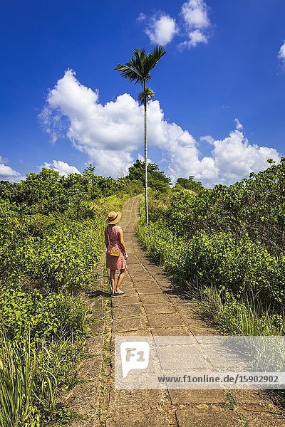 Woman on the Campuhan Ridge Walk Ubud Bali Indonesia.