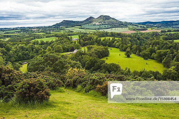 The three peaks of Eildon Hill seen from Scott's View Eildon Hill lies just south of Melrose Scottish Borders District Scotland United Kingdom Europe.