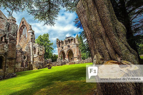 Dryburgh Abbey Scottish Borders District Scotland United Kingdom Europe.