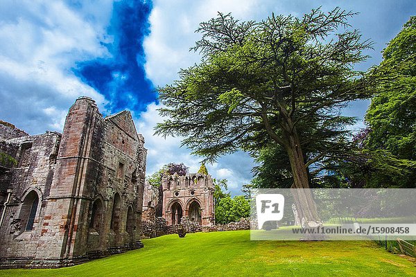 Dryburgh Abbey Scottish Borders District Scotland United Kingdom Europe.