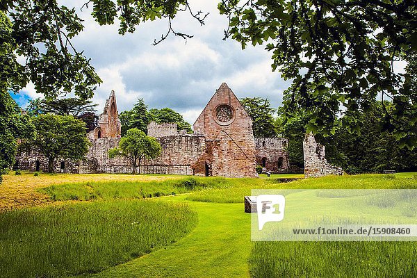 Dryburgh Abbey Scottish Borders District Scotland United Kingdom Europe.