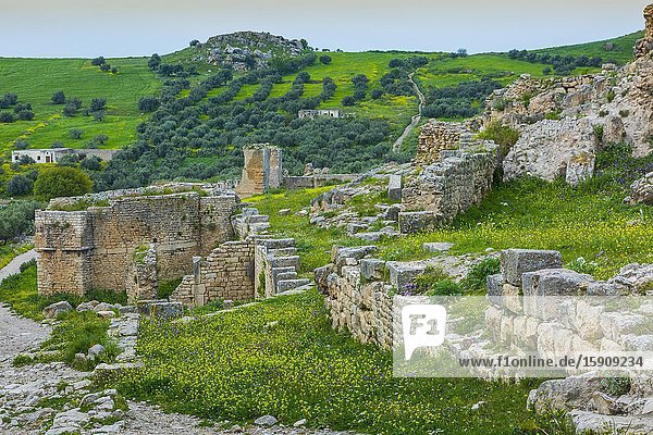 Dougga Roman city ruins. Tunisia.
