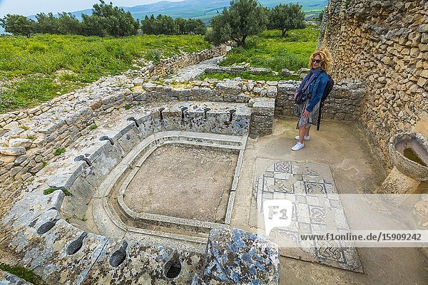 Latrines. The bath of the Cyclopses. Dougga Roman city ruins. Tunisia.