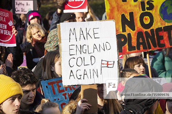 Newcastle upon Tyne England. UK. 29th November 2019. Climate change protest in Newcastle upon Tyne.