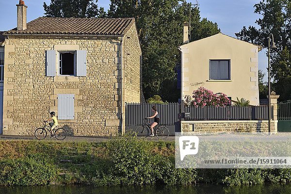 Coulon, Deux-Sèvres department, Nouvelle-Aquitaine region, France, Europe.