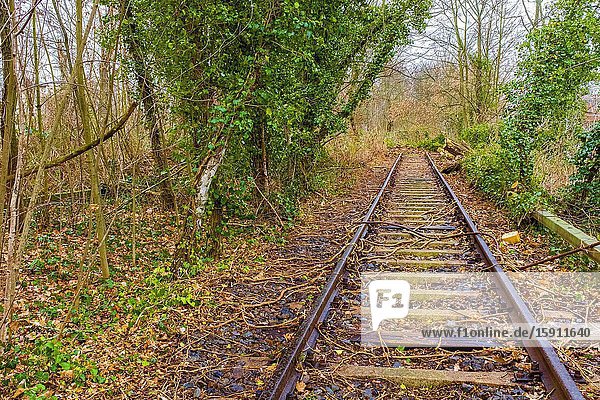 Berlin Germany. Siemensstadt S-Bahn Line was shut down during the 1980's but is getting a revival due to a planned reopening of the line in 2025. Meanwhile plans for a new campus and urban development are being made.