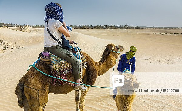 Woman and guide in a dromedary ride. Douz Tunisia Africa.