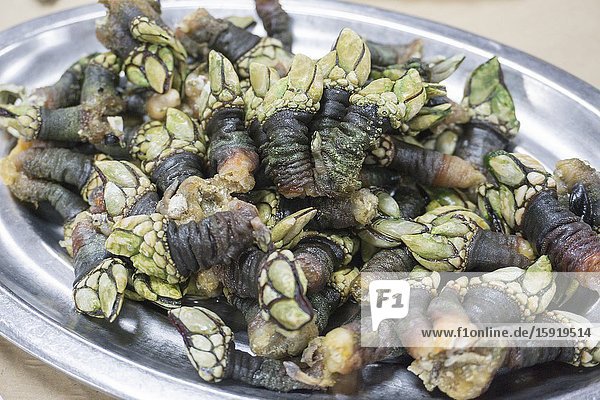 Percebes - Spanish Gooseneck Barnacles Asturias.