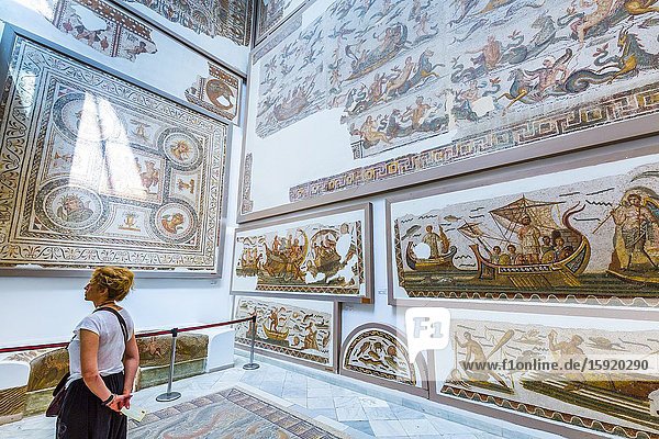 Mosaic. Bardo National Museum. Tunis city. Tunisia Africa.