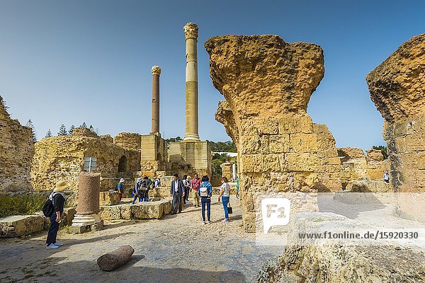 Roman ruins. Baths of Antoninus. Carthage. Tunisia Africa.