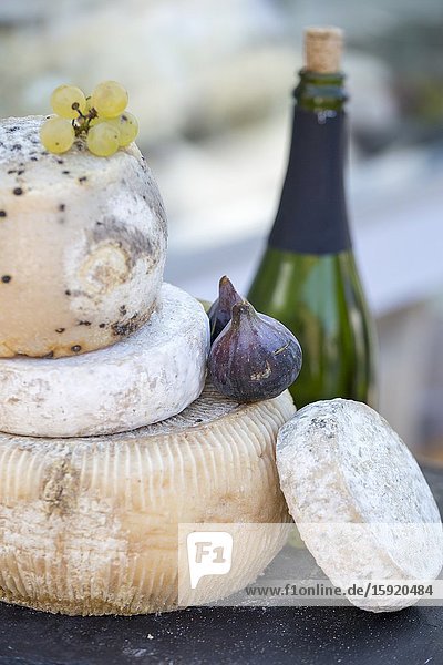 Turin in Piedmont on September 24 2016 in Italy. Borsa square during the food festival Terra Madre Salone del Gusto. Cheeses and wines detail.