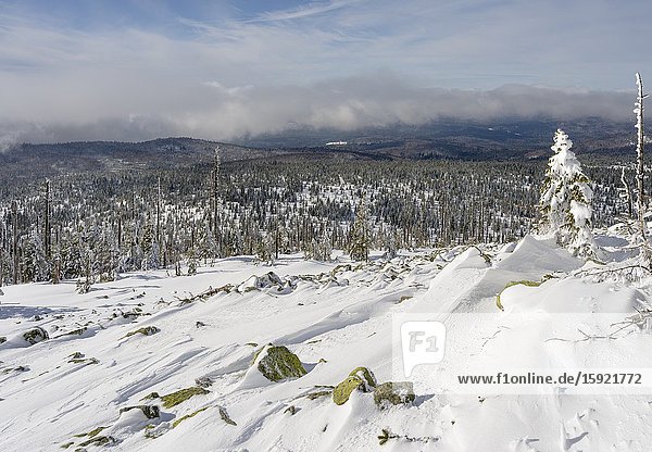 View from peak of Mount Lusen. Winter at Mount Lusen in National Park Bavarian Forest (Bayerischer Wald)  Europe  Central Europe  Germany  Bavaria.