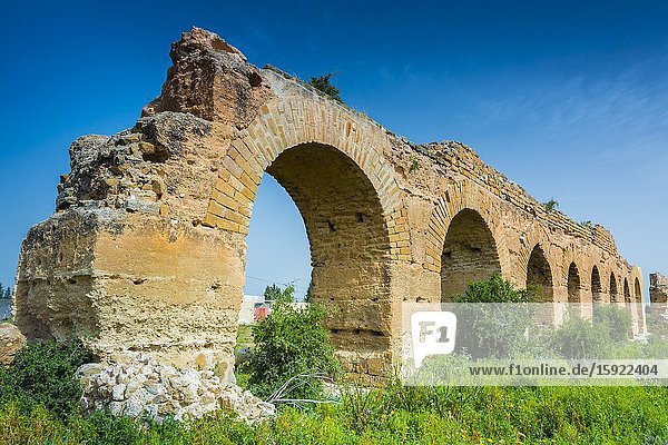 Zaghouan Aqueduct or Aqueduct of Carthage. Tunisia Africa.