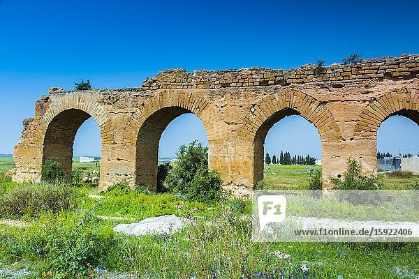 Zaghouan Aqueduct or Aqueduct of Carthage. Tunisia Africa.