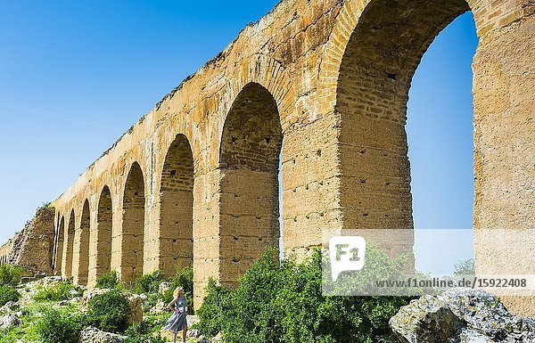 Zaghouan Aqueduct or Aqueduct of Carthage. Tunisia Africa.